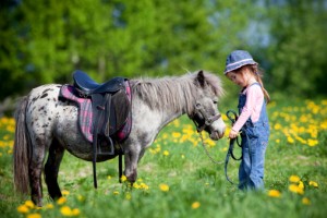 Kind mit einem Pony auf einer Wiese
